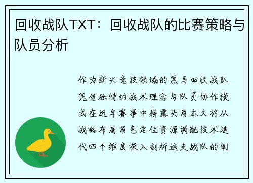 回收战队TXT：回收战队的比赛策略与队员分析