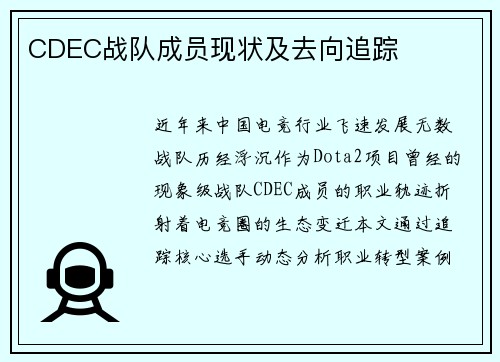 CDEC战队成员现状及去向追踪